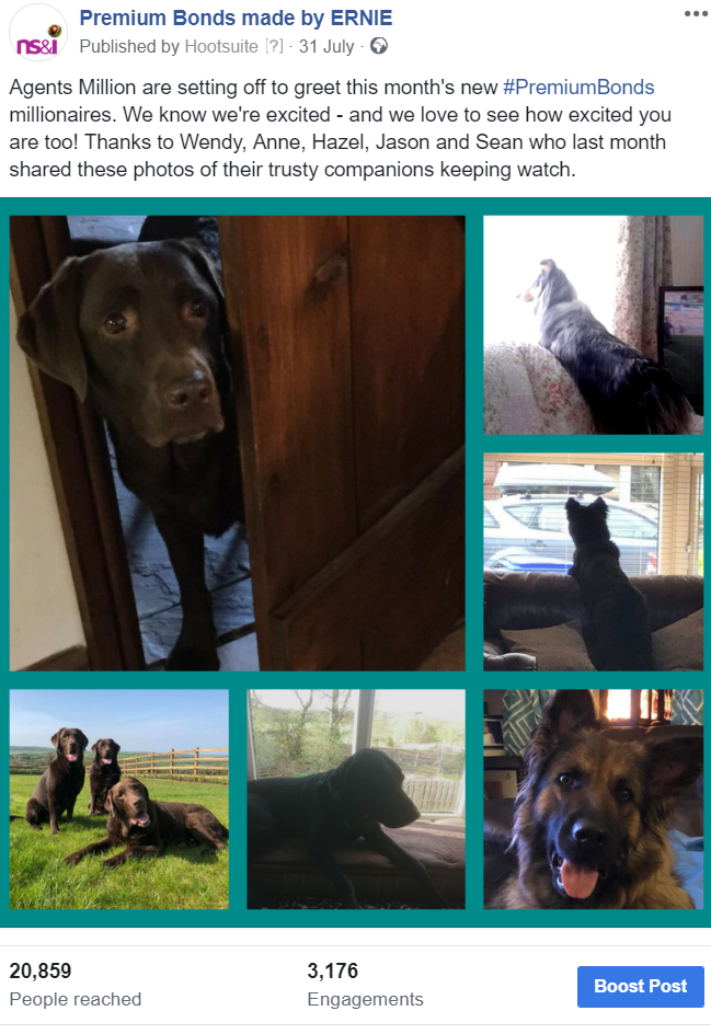 Premium Bonds customers share updates of their patient dogs